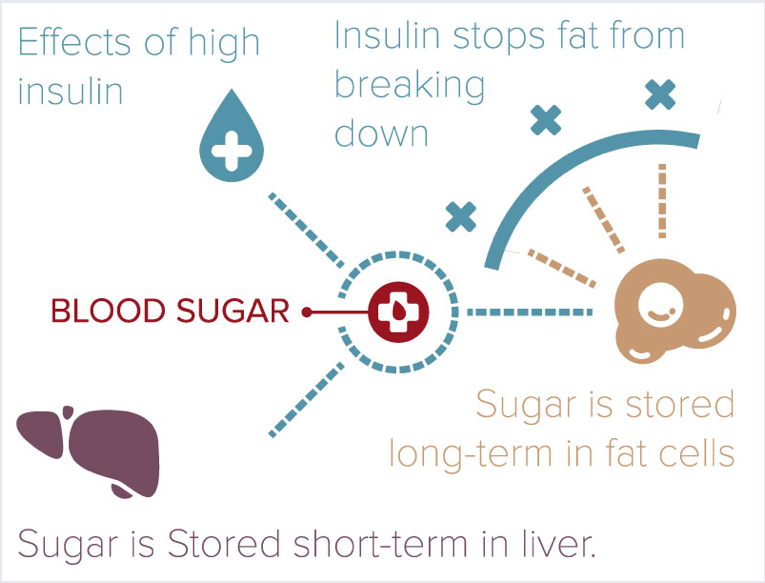 New Insulin That Helps With Weight Loss WeightLossLook