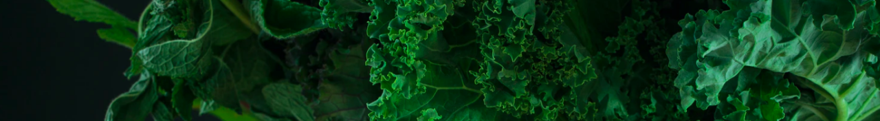 Leafy greens are full of calcium