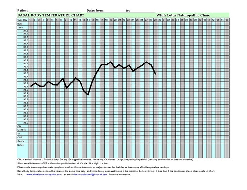 2 big temp drop then huge spike bbt chart