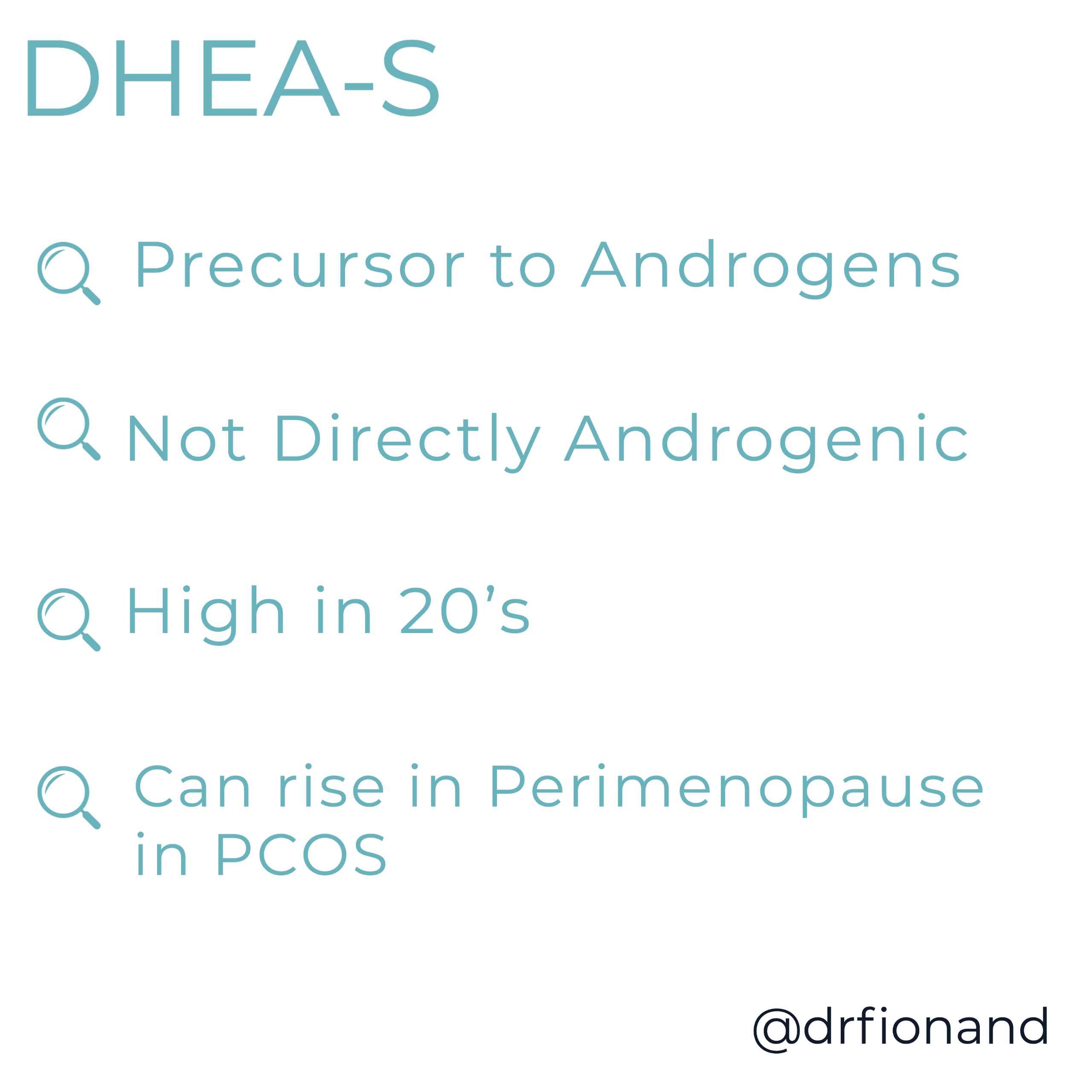 Summary card headed DHEA-S listing four points: precursor to androgens; not directly androgenic; high in your 20s; can rise in perimenopause in PCOS.