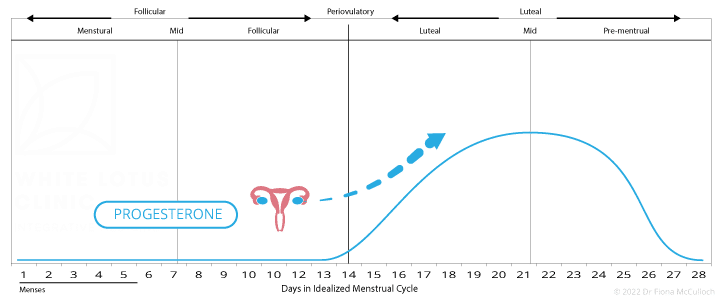 Cyclic progesterone therapy helps maintain the natural cycle and regulating effects of progesterone in the reproductive cycle.