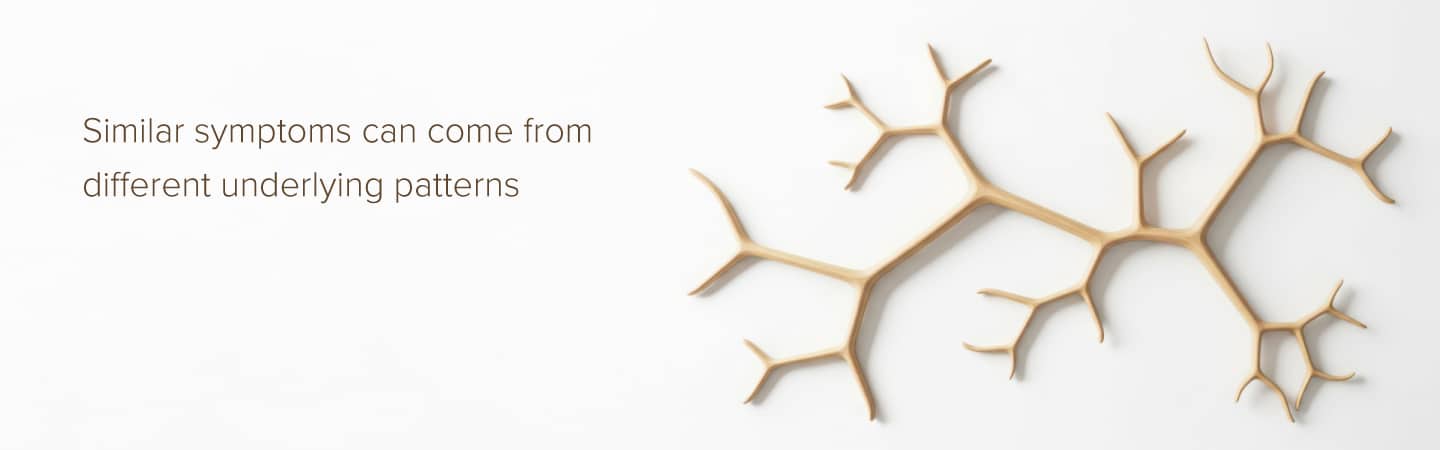 Illustration of branching pathways representing different underlying hormonal patterns