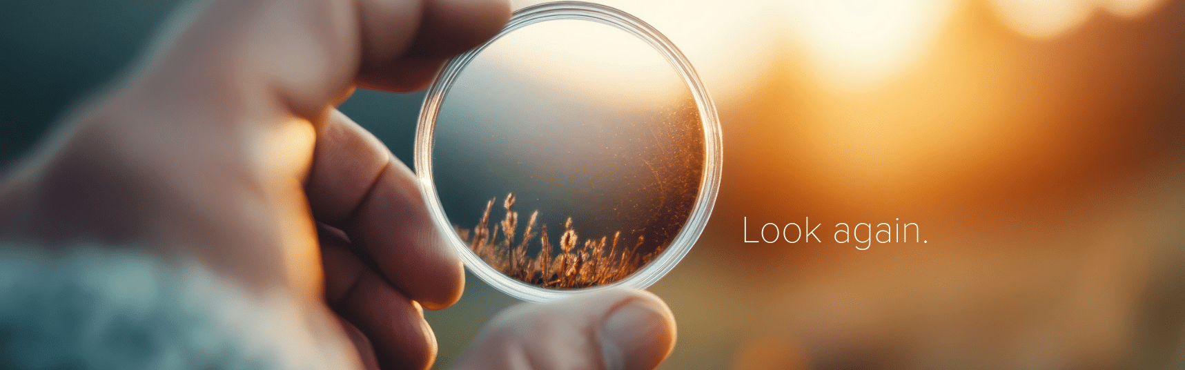 Hand holding a small lens bringing part of a natural scene into focus while the background remains blurred, illustrating selective clarity and hidden detail